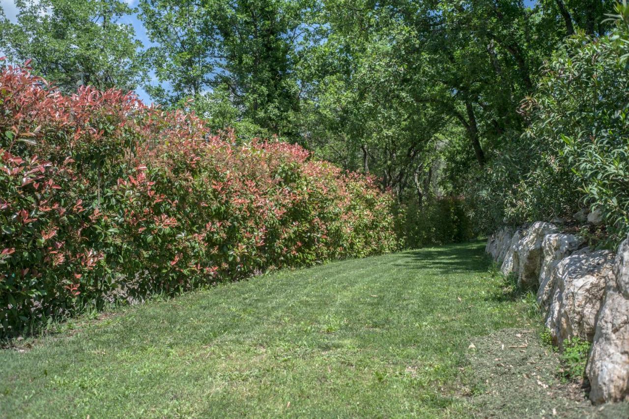Belvillas Montauroux Εξωτερικό φωτογραφία